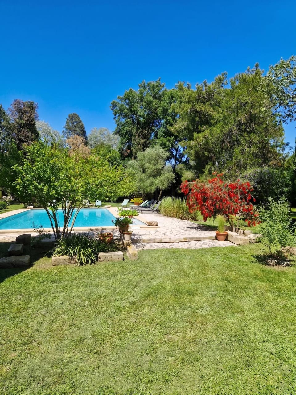 Pool view