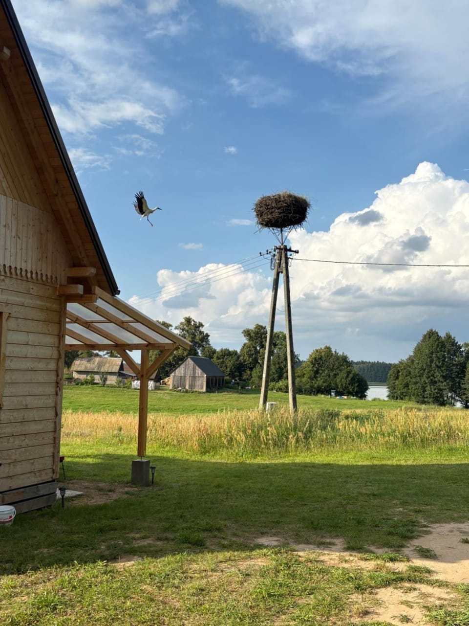 Day, Natural landscape, Garden, Garden view