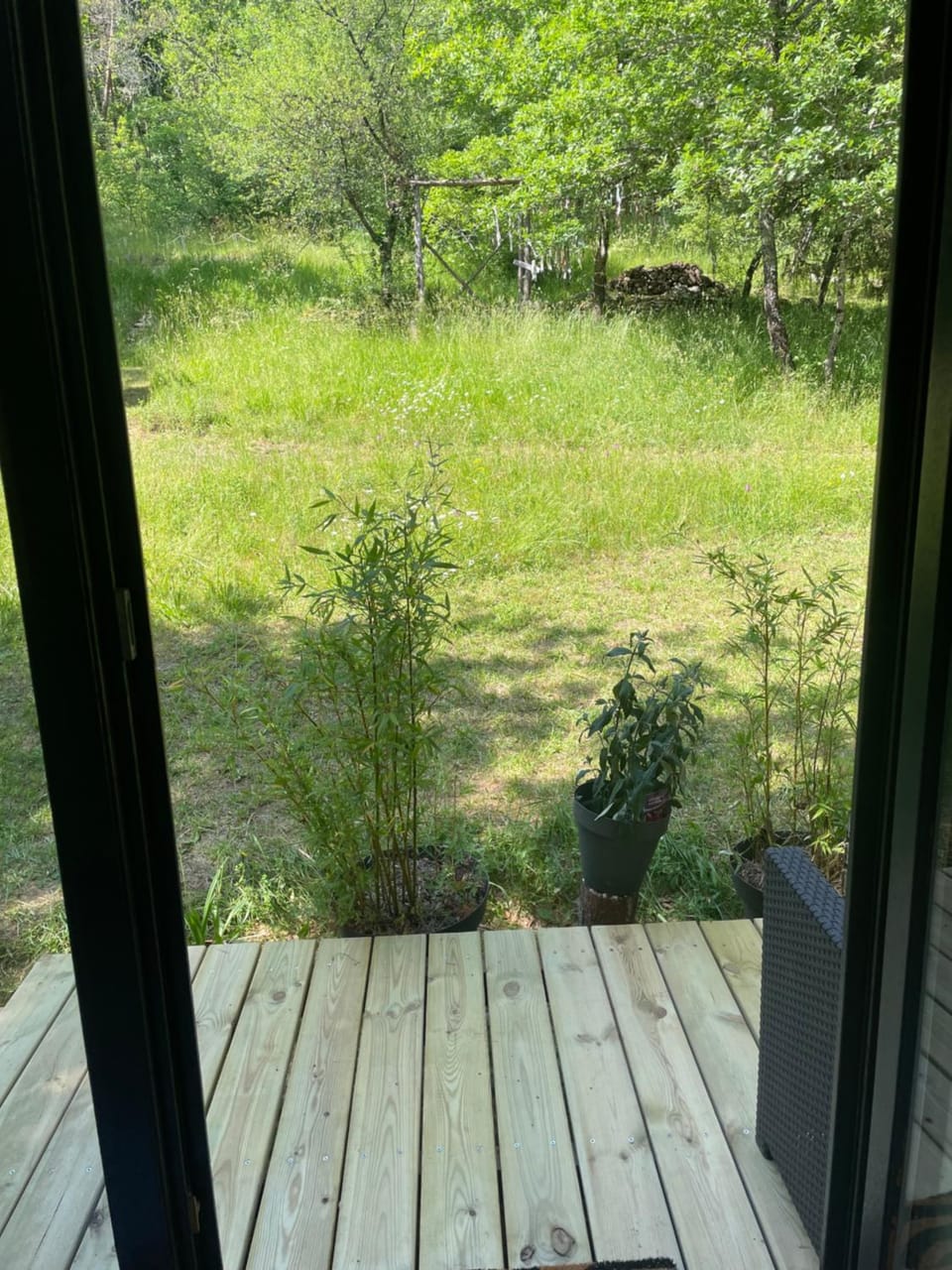 View (from property/room)