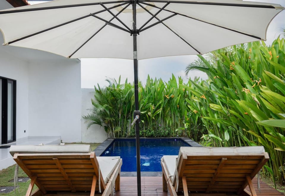 Patio, Day, Garden, Garden view, Pool view, Swimming pool, sunbed