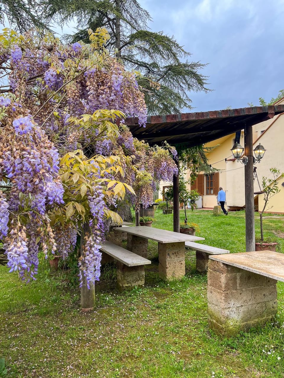 Garden, Garden view