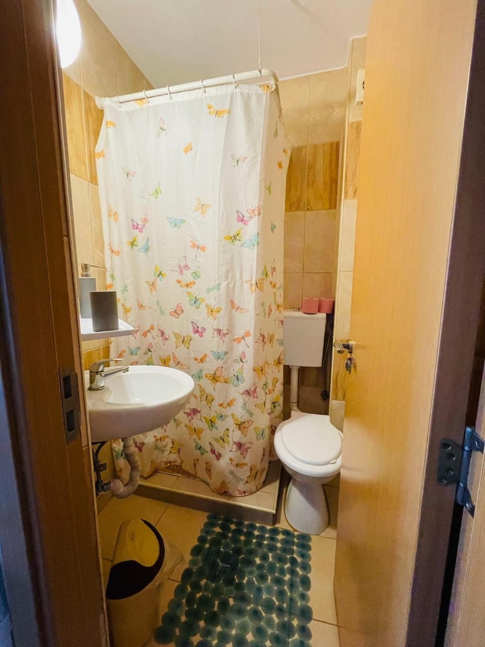 Pensiunea Amelia Bed and Breakfast in Romania