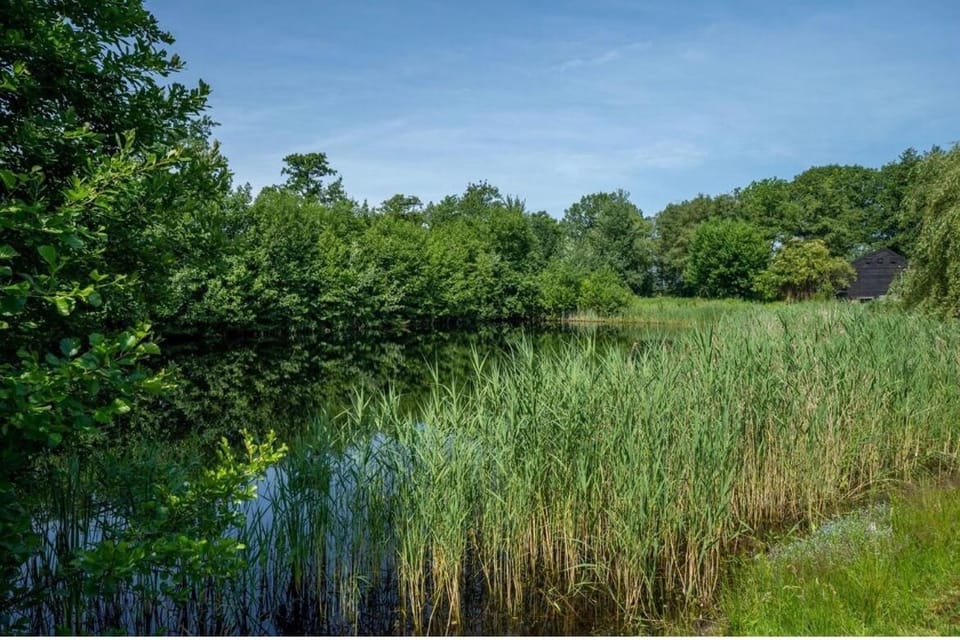 Lake view