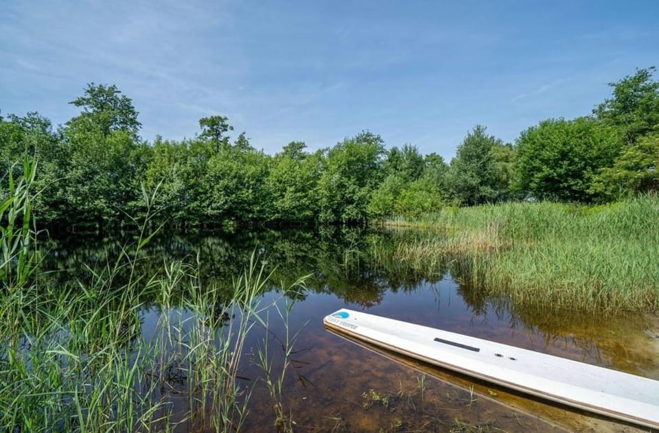 Lake view
