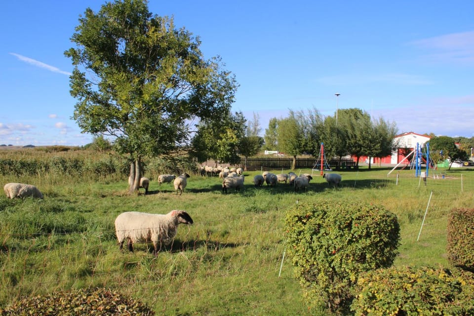 Neighbourhood