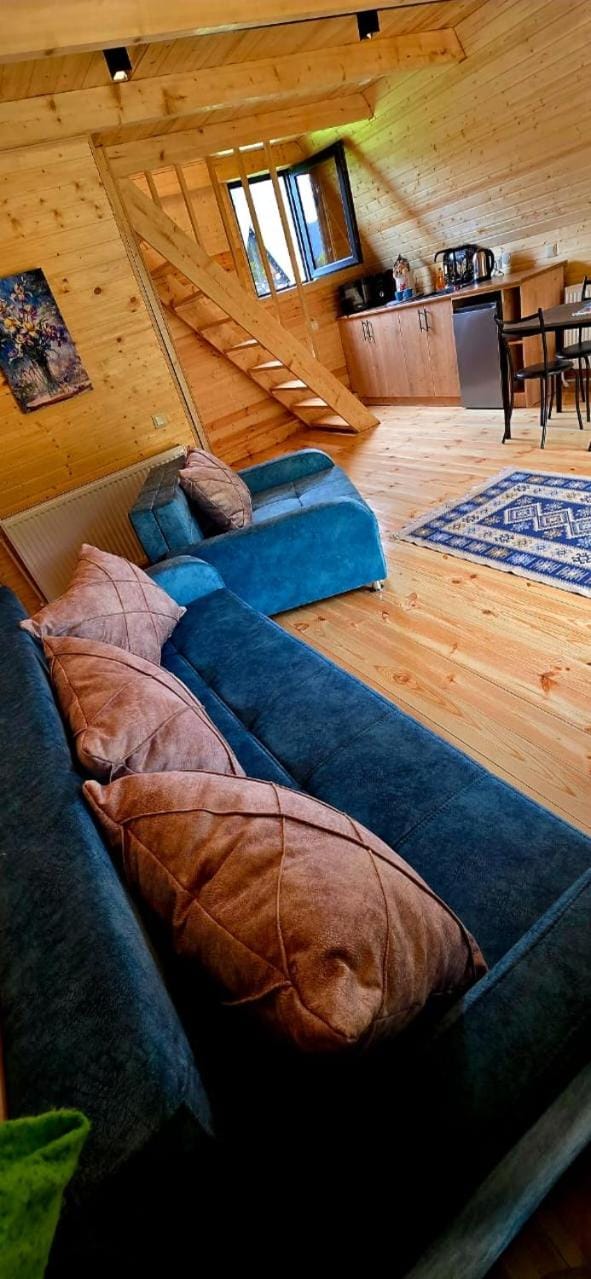 Borjomi Hills Villa in Georgia