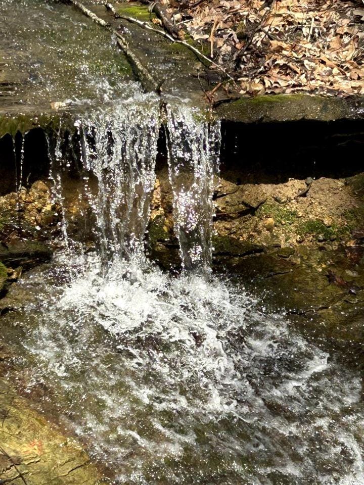 Charming Cabin with Hot-tub and Stunning Views in Campbellsville, Kentucky Cabin in Kentucky