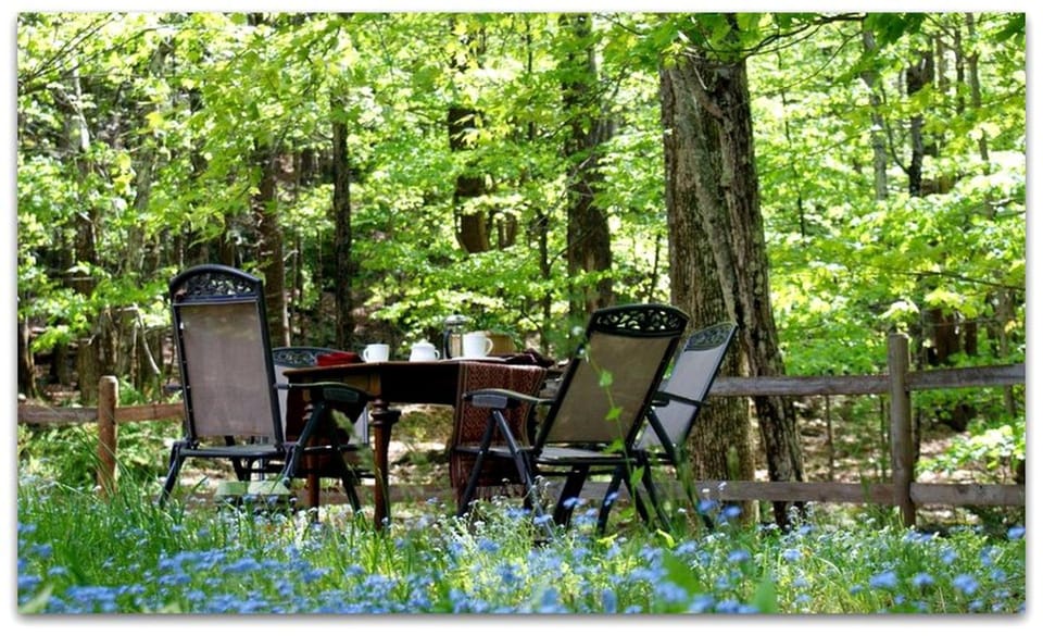 Romantic Cottage Rental with Hot Tub Outside Woodstock, New York House in Olive