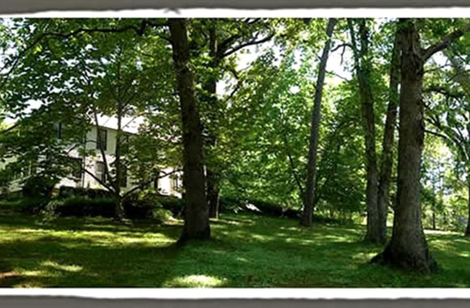 Natural landscape