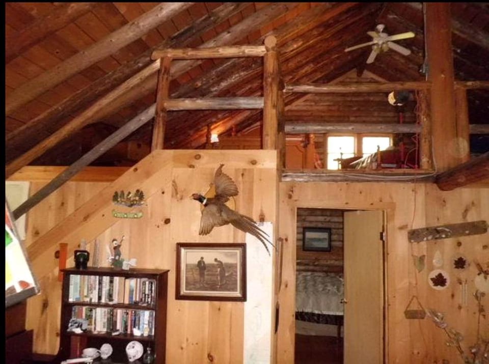 Amazing Lakefront Cabin in the Woodlands near Bangor, Maine Cabin in Northeast Piscataquis