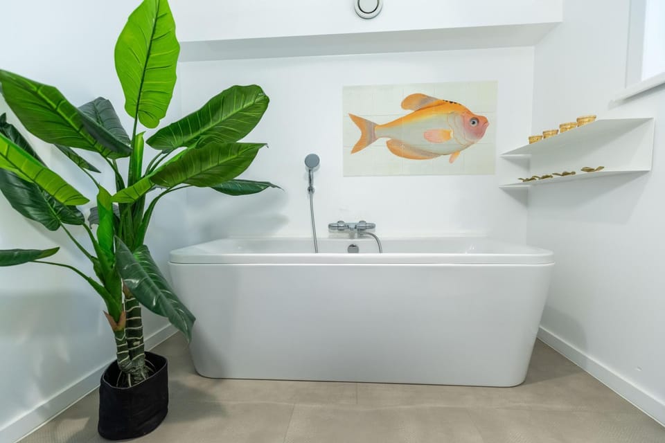 Zeesamen 5 min from beach House in Zeeland, Netherlands