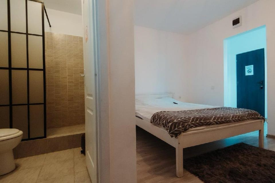 Pensiunea Cezar Si Luca Bed and Breakfast in Romania