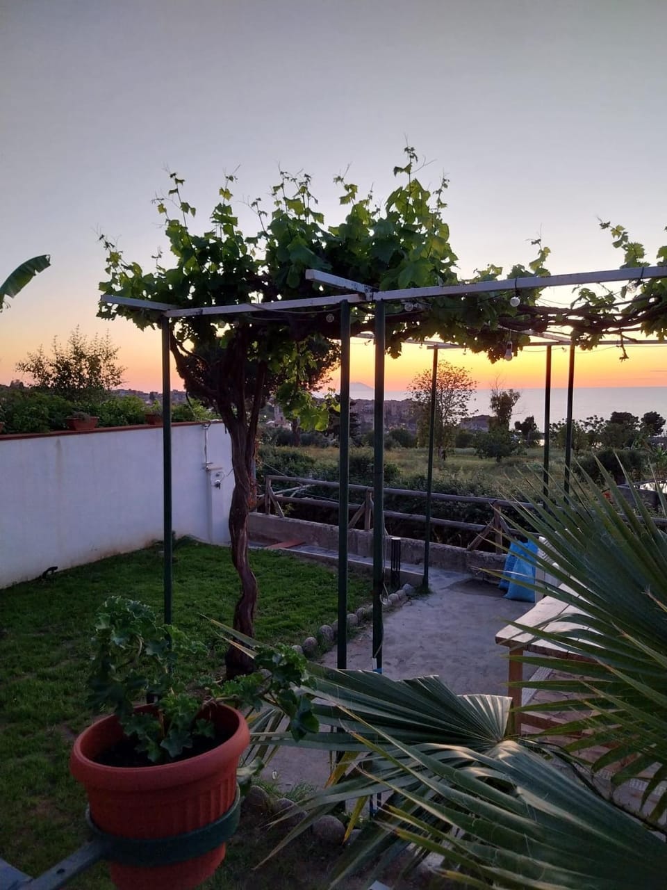 Garden view
