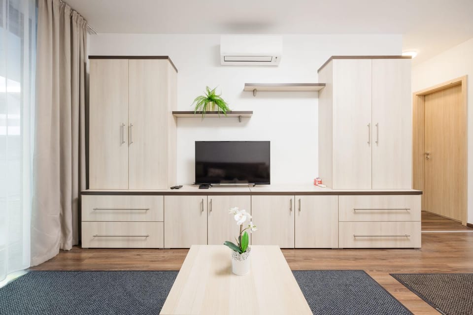 TV and multimedia, Living room, wardrobe, air conditioner