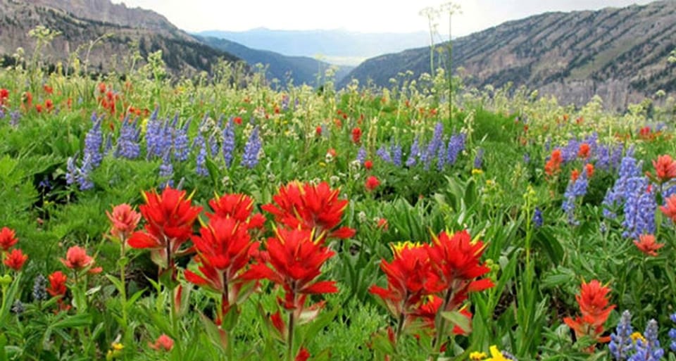 Incredible Wooden Cabin with Fantastic Hiking Trails in Island Park, Idaho Cabin in Idaho