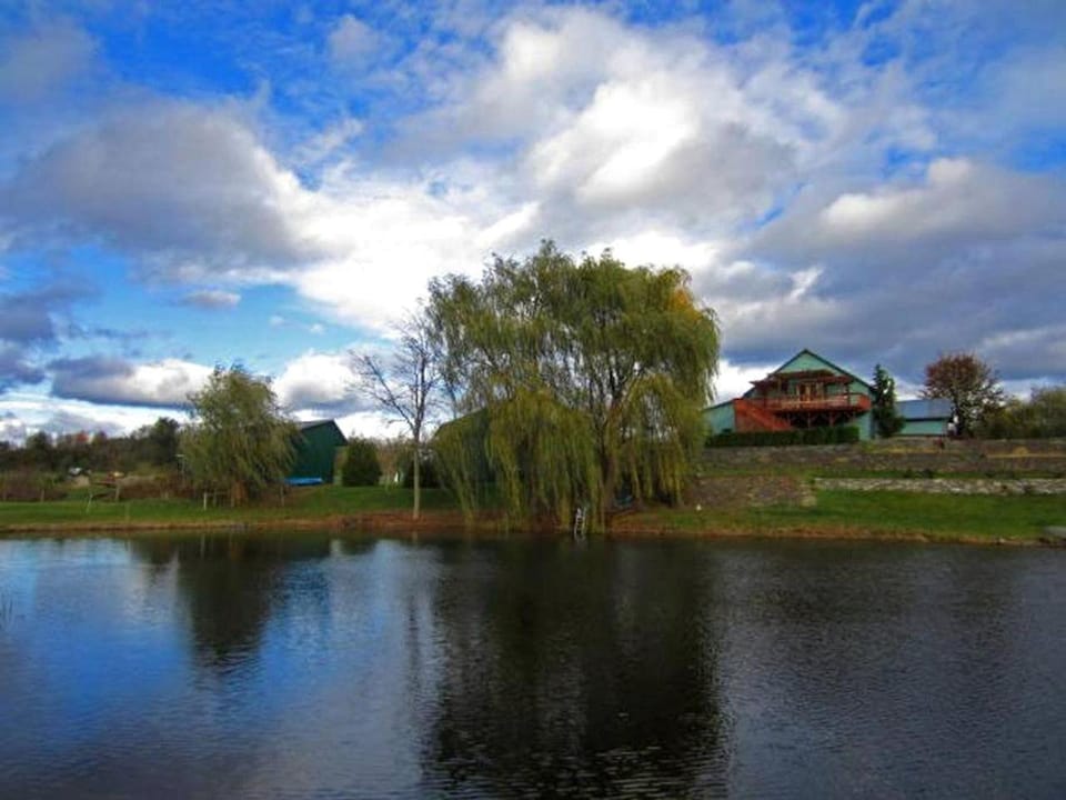 Natural landscape