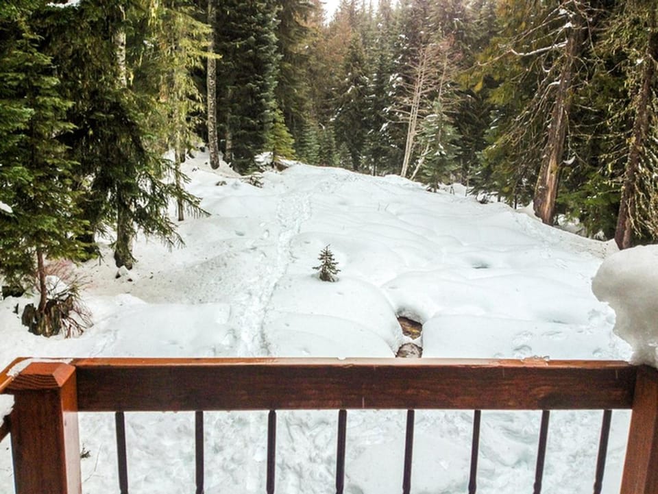 Secluded Ski-In and Ski-Out Cabin with Private Sauna on Mount Hood in Oregon Cabin in Clackamas County