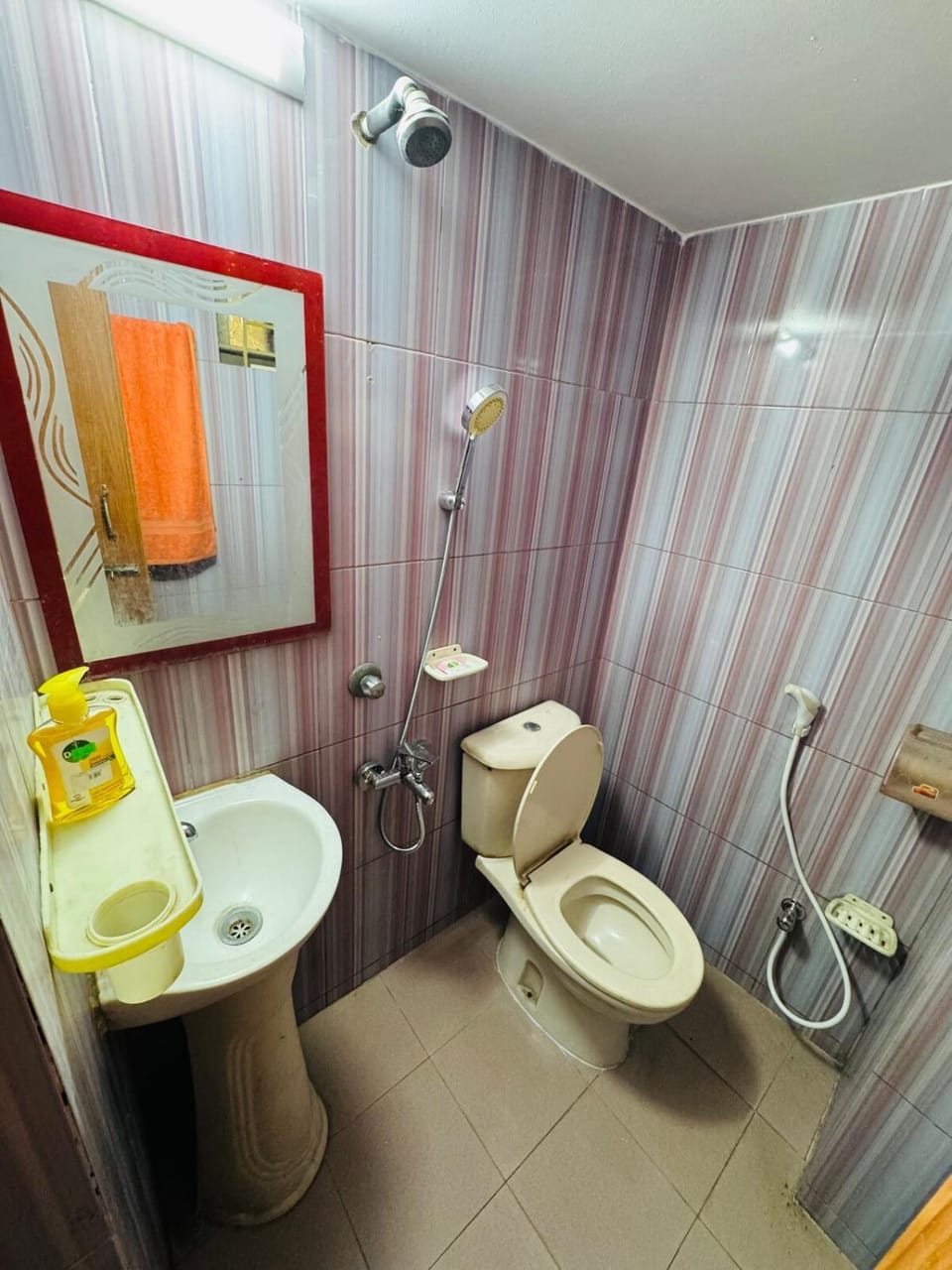 Farm View Guest House Apartment in Dhaka