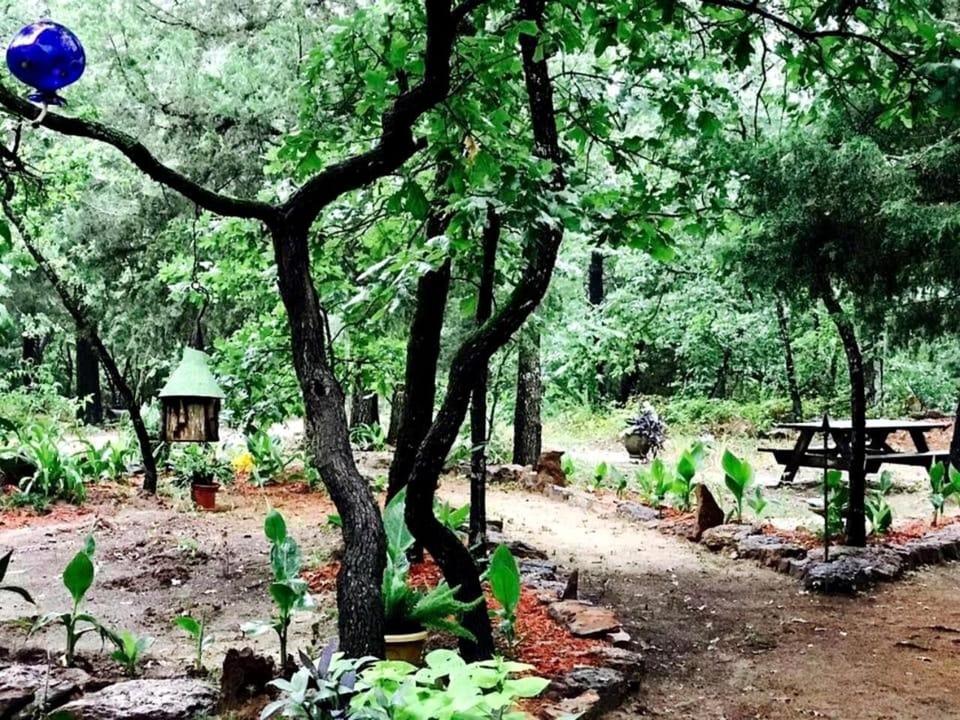 Beautiful Cabin Surrounded by Forest with Amazing Outdoor Amenities for a Peaceful Escape in the Outdoors in Ben Wheeler, Texas Cabin in Texas