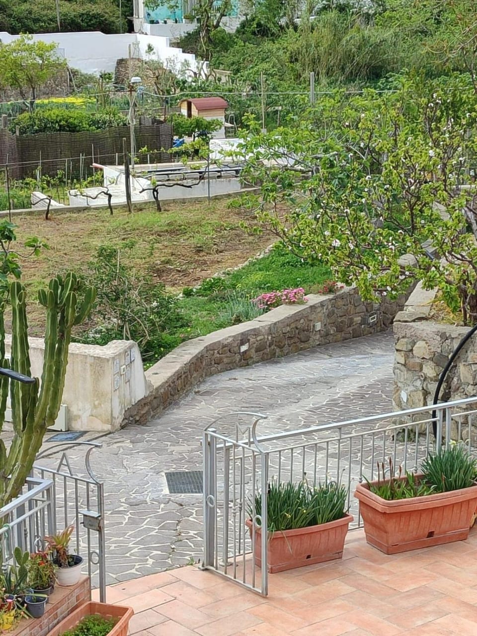 Casa Francesca Ponza House in Ponza