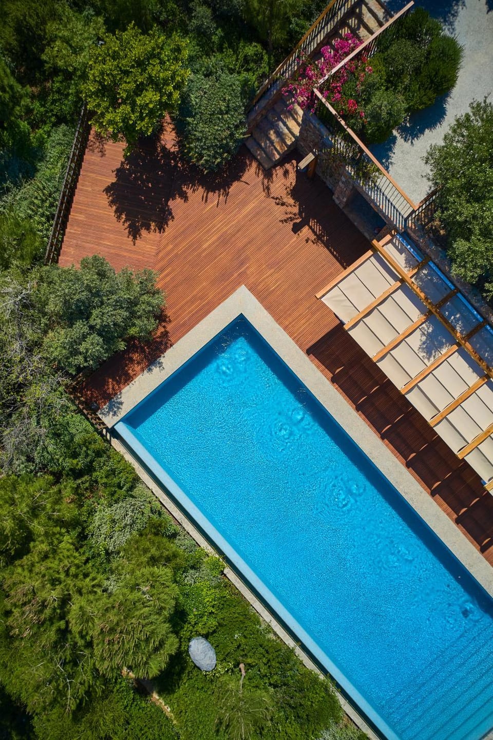 Day, Garden, Pool view, Swimming pool, sunbed