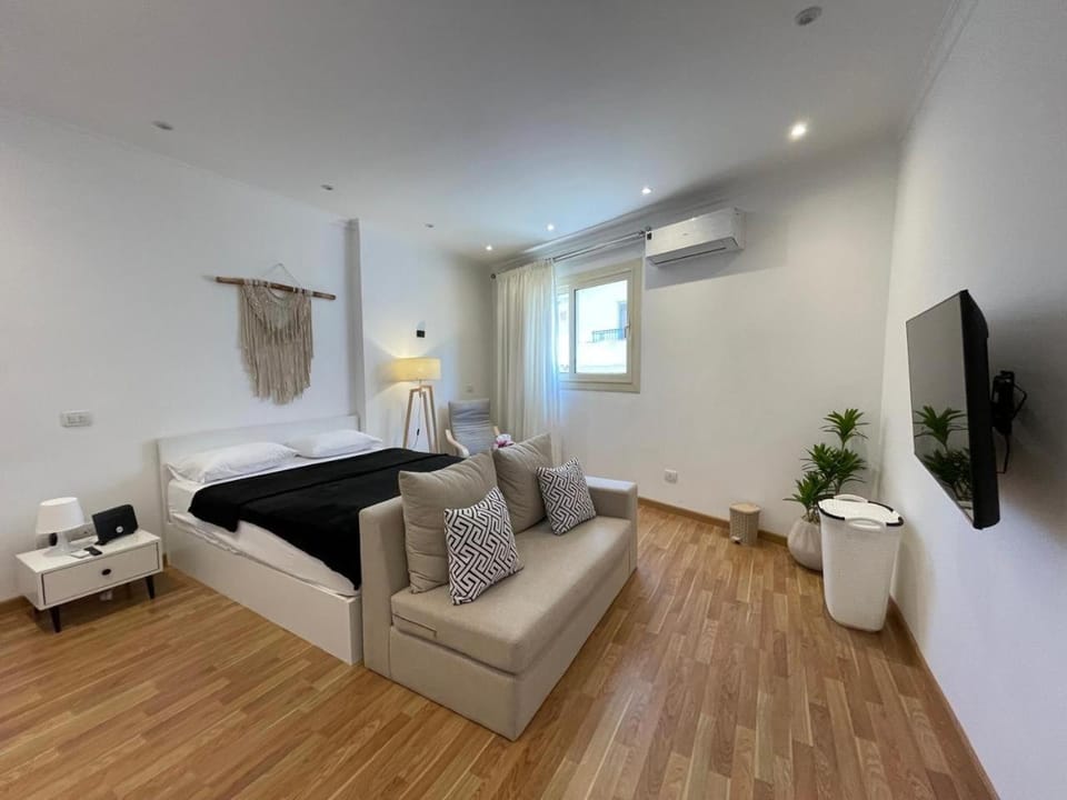Bed, TV and multimedia, Living room, Photo of the whole room, Seating area, Bedroom, air conditioner