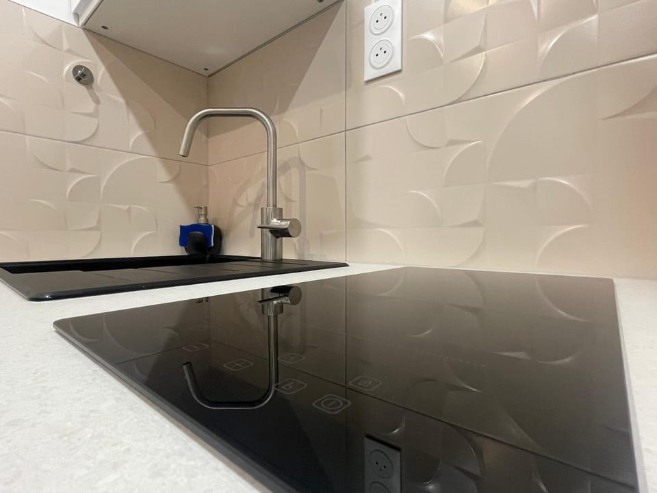 Kitchen or kitchenette, kitchen