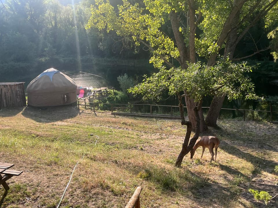 AGRI GLAMPING RETREAT i LAGHETTI Luxury tent in Abruzzo