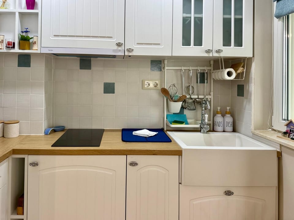 Kitchen or kitchenette, dishwasher, stove