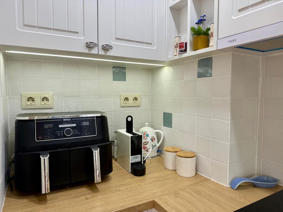 Kitchen or kitchenette, dishwasher, stove, toaster