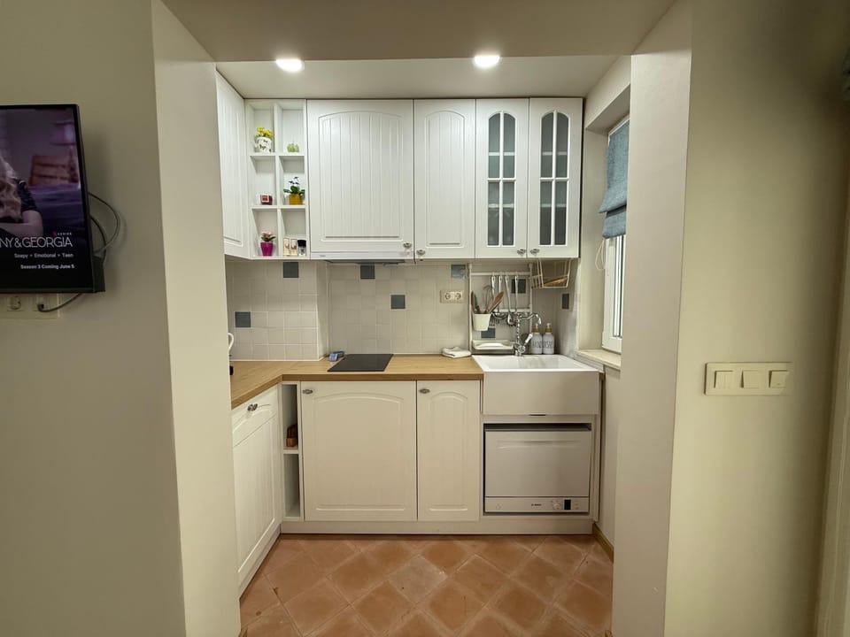 Kitchen or kitchenette, dishwasher