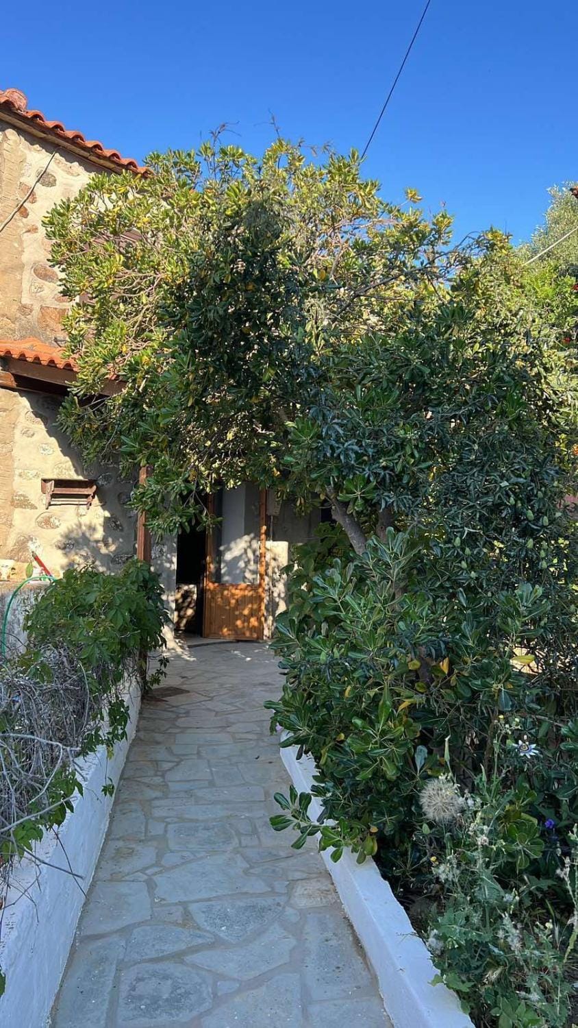 Petriya Kontias House in Decentralized Administration of the Aegean