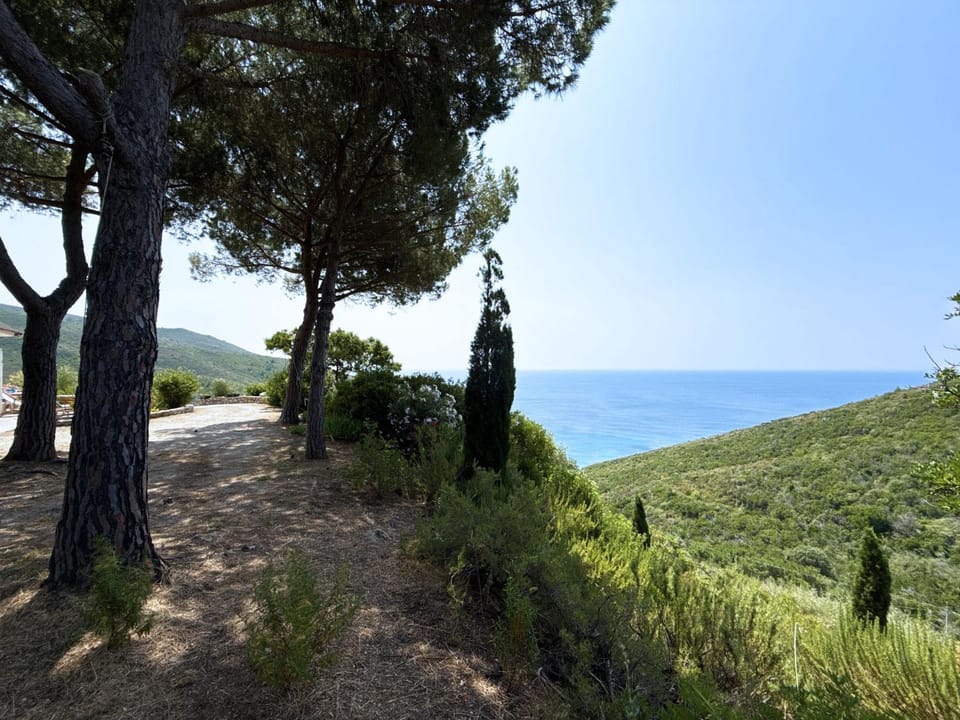 View (from property/room), Garden view