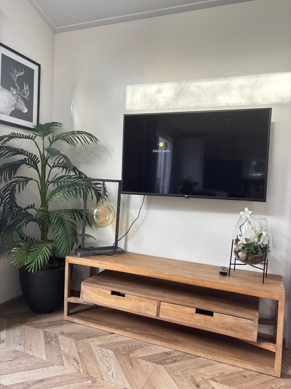 TV and multimedia
