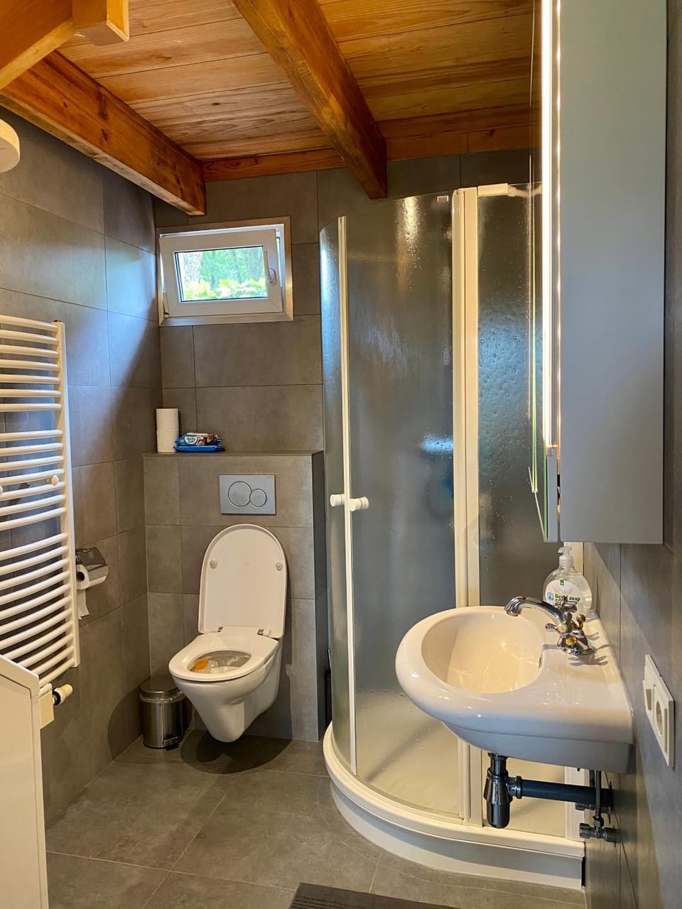 Shower, Toilet, Bathroom