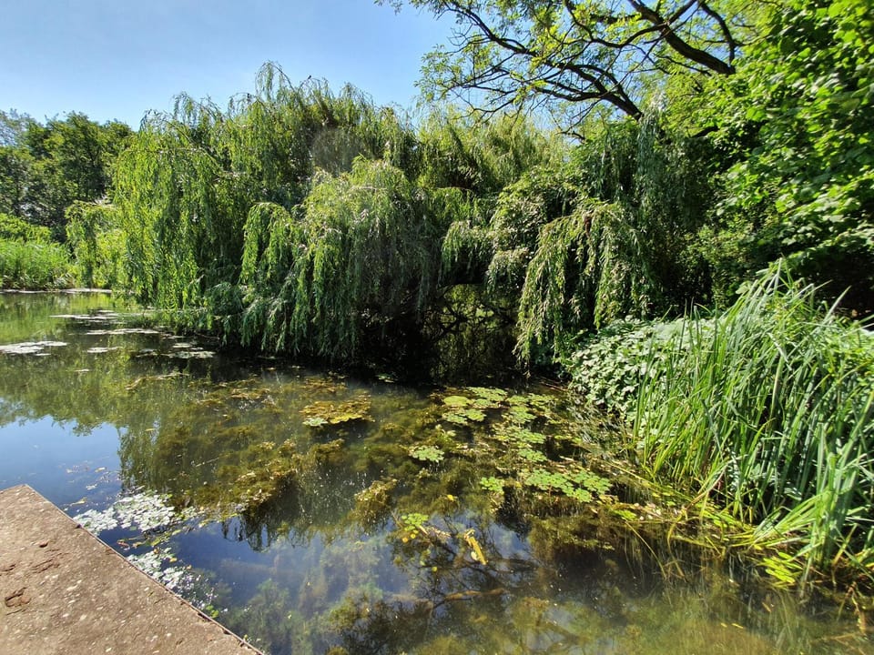 Natural landscape