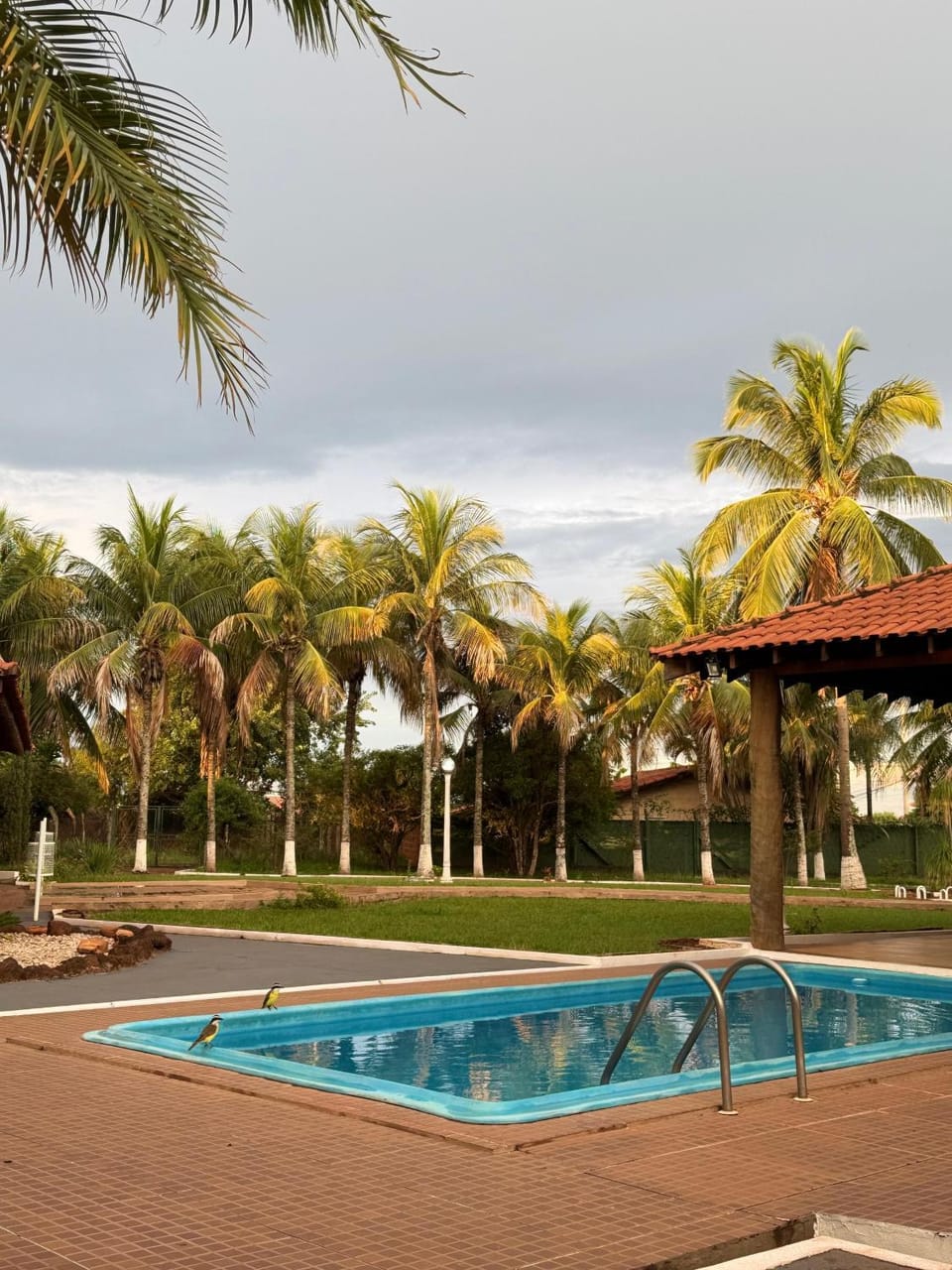Swimming pool