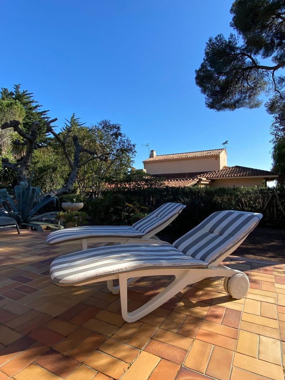 Patio, sunbed