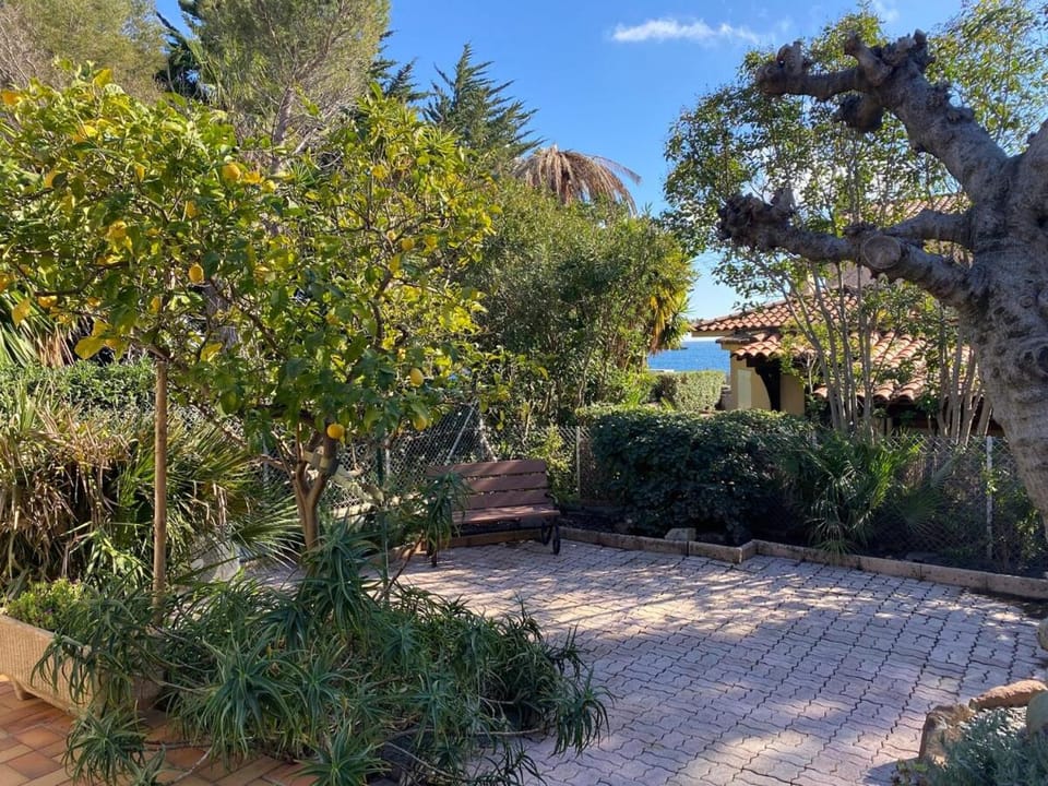 Day, Garden, Garden view