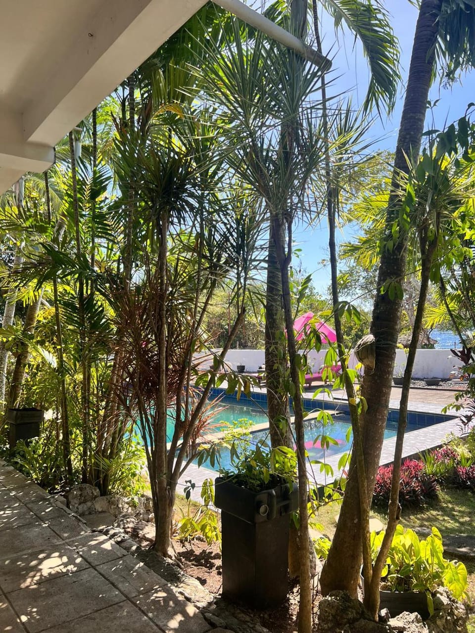 La Pernela Resort Hotel in Panglao