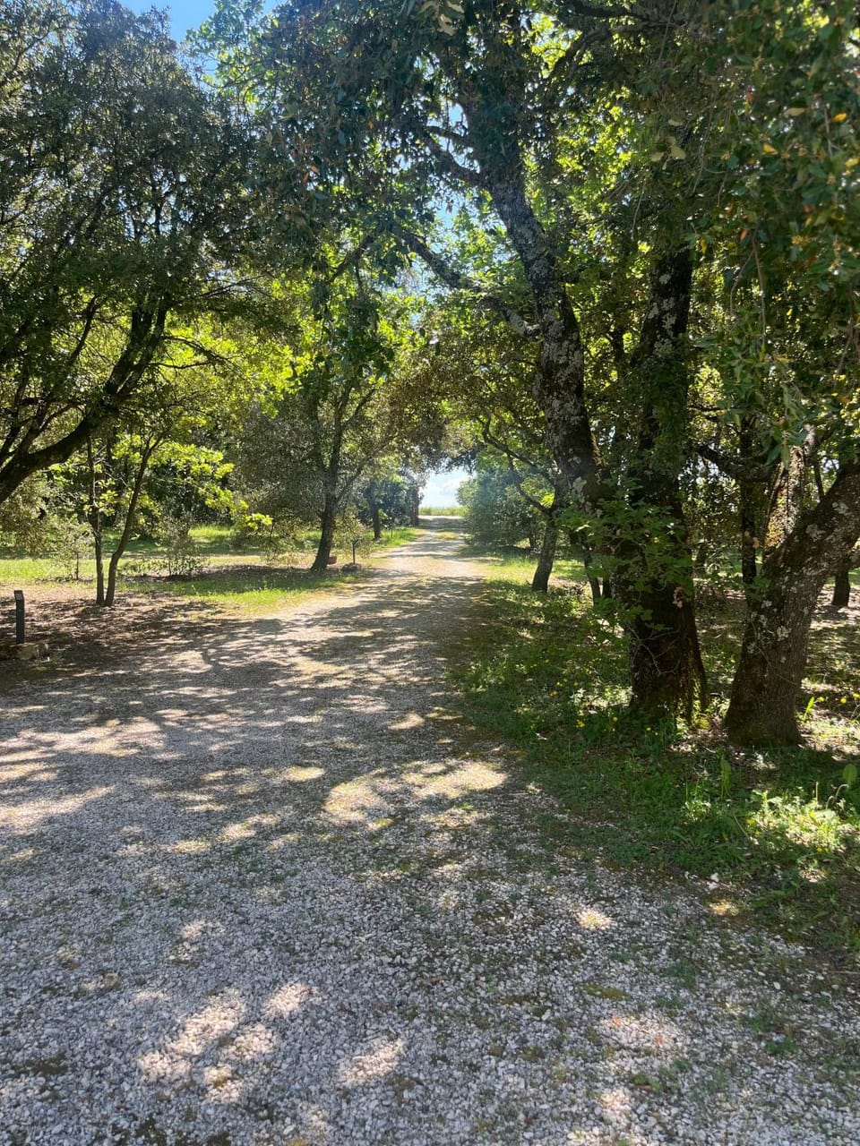 Le cabanon de la bergerie Bed and Breakfast in Grignan