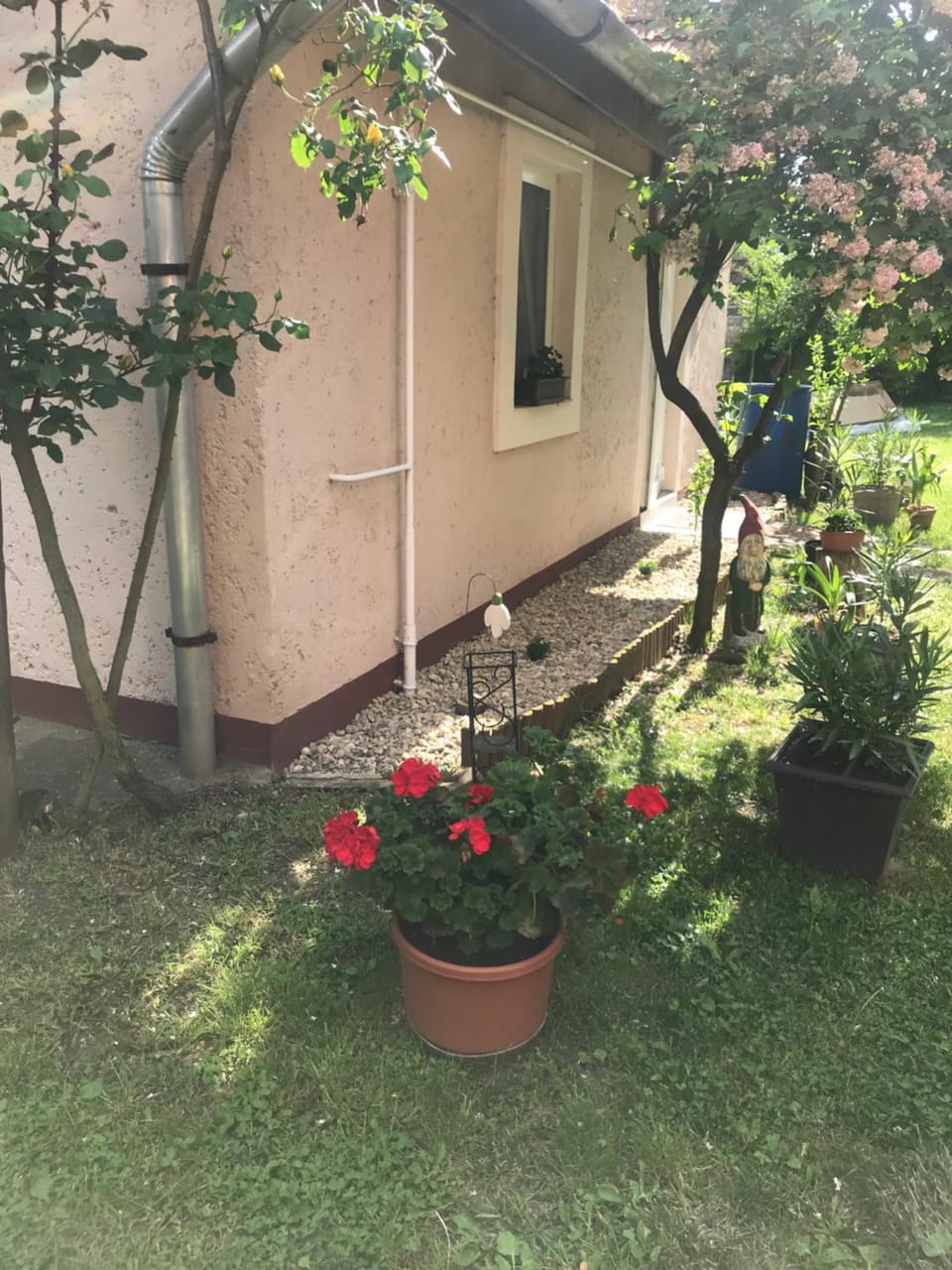 Property building, Garden