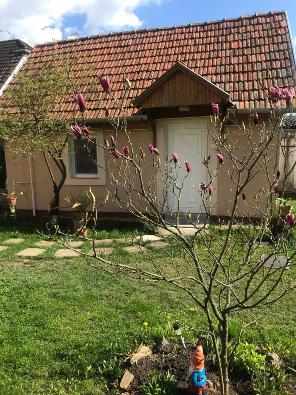 Property building, Facade/entrance, Garden