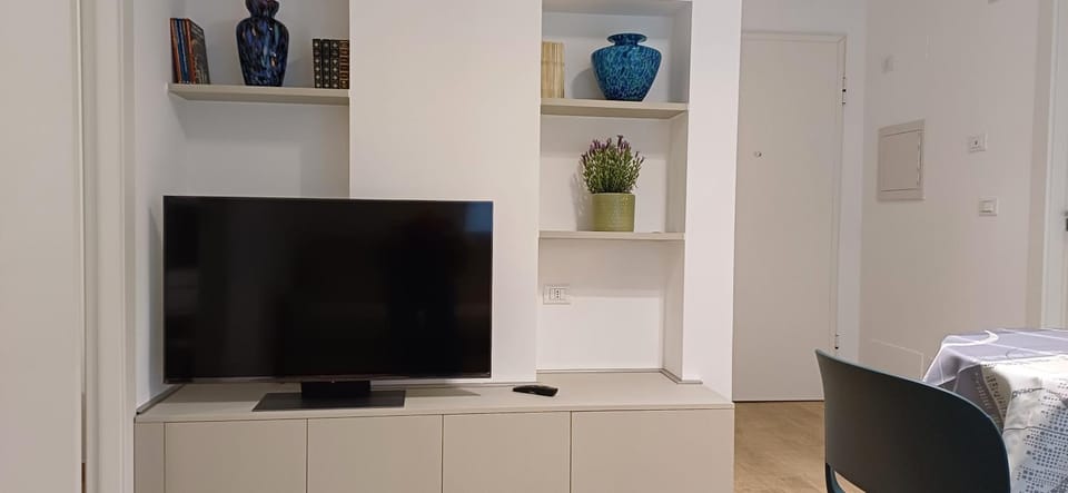 TV and multimedia