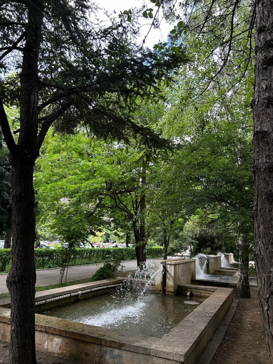 Nearby landmark, Day, Natural landscape, Garden view