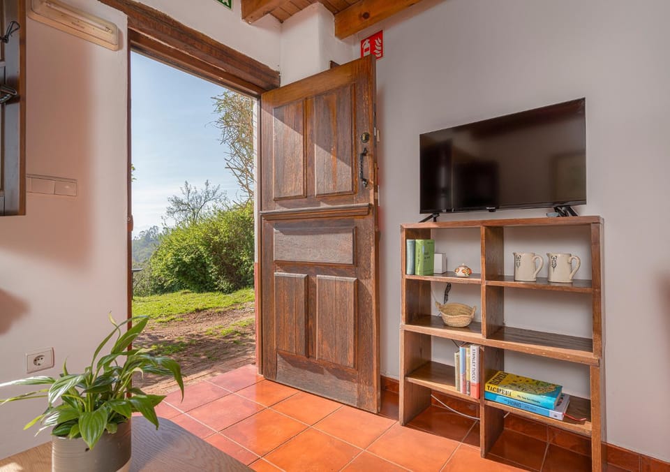 Garden, TV and multimedia, Garden view