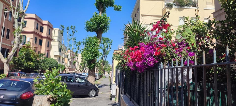 Property building, Spring, Day, Neighbourhood, Street view, Location, Parking