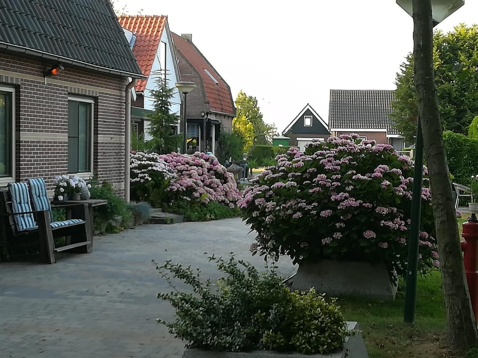 Property building, Spring, Garden view