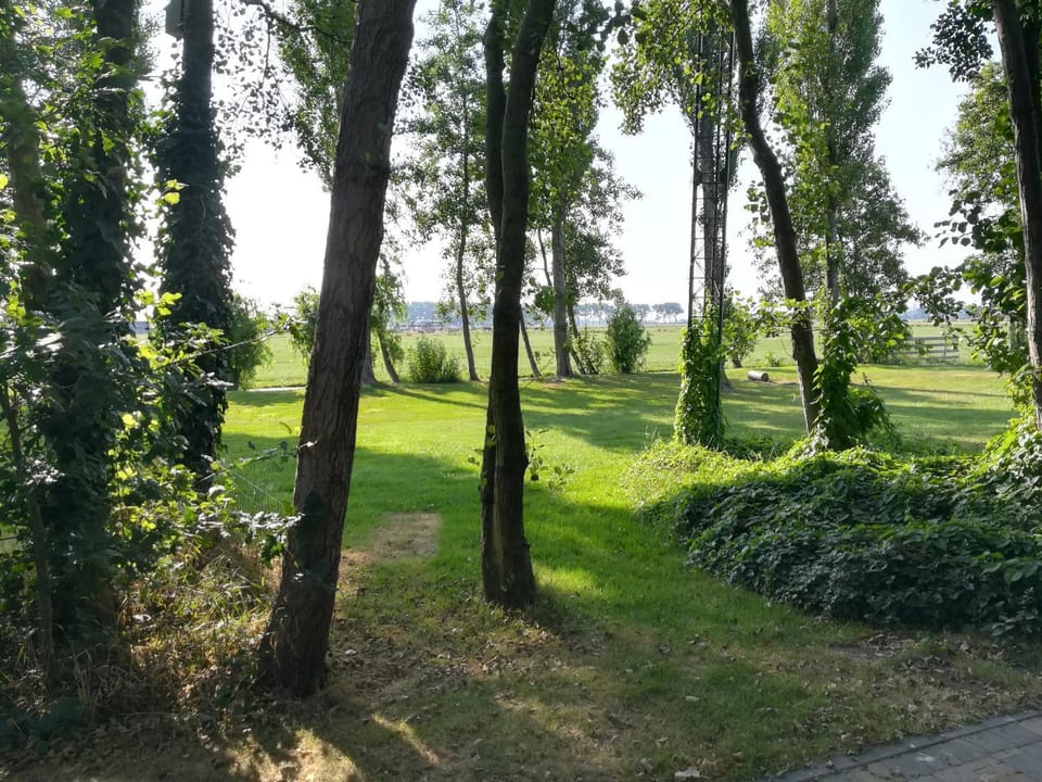 Natural landscape, Garden, Garden view
