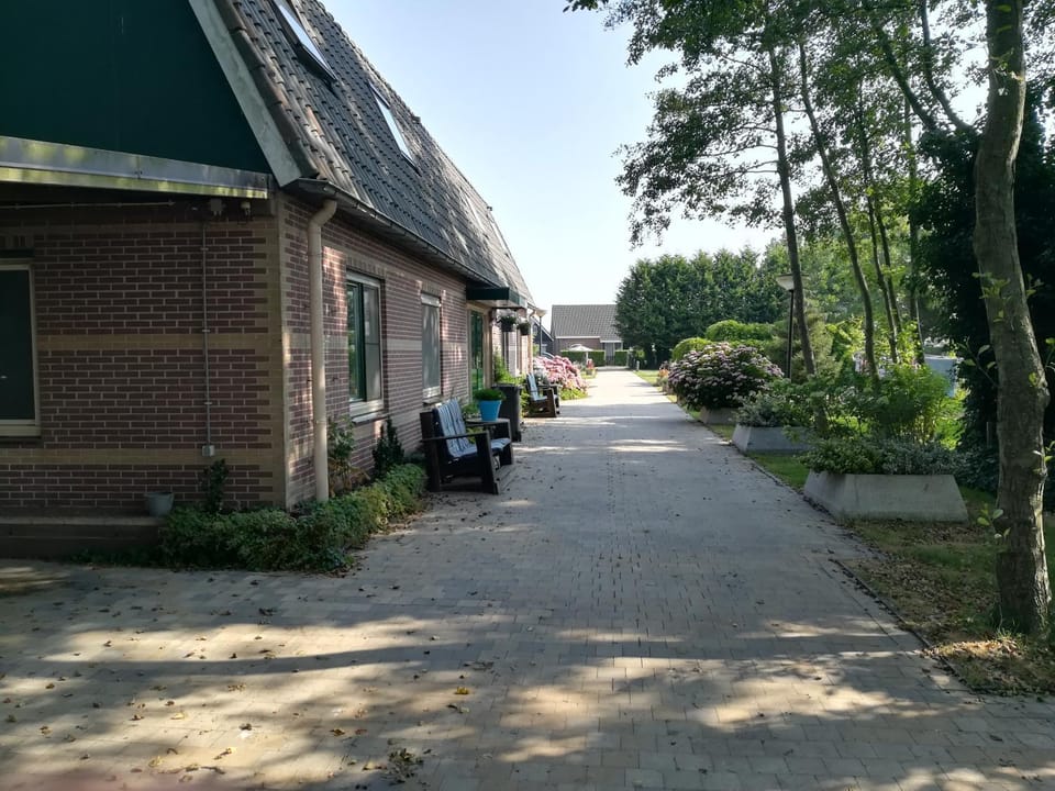 Property building, Nearby landmark, Other, Street view